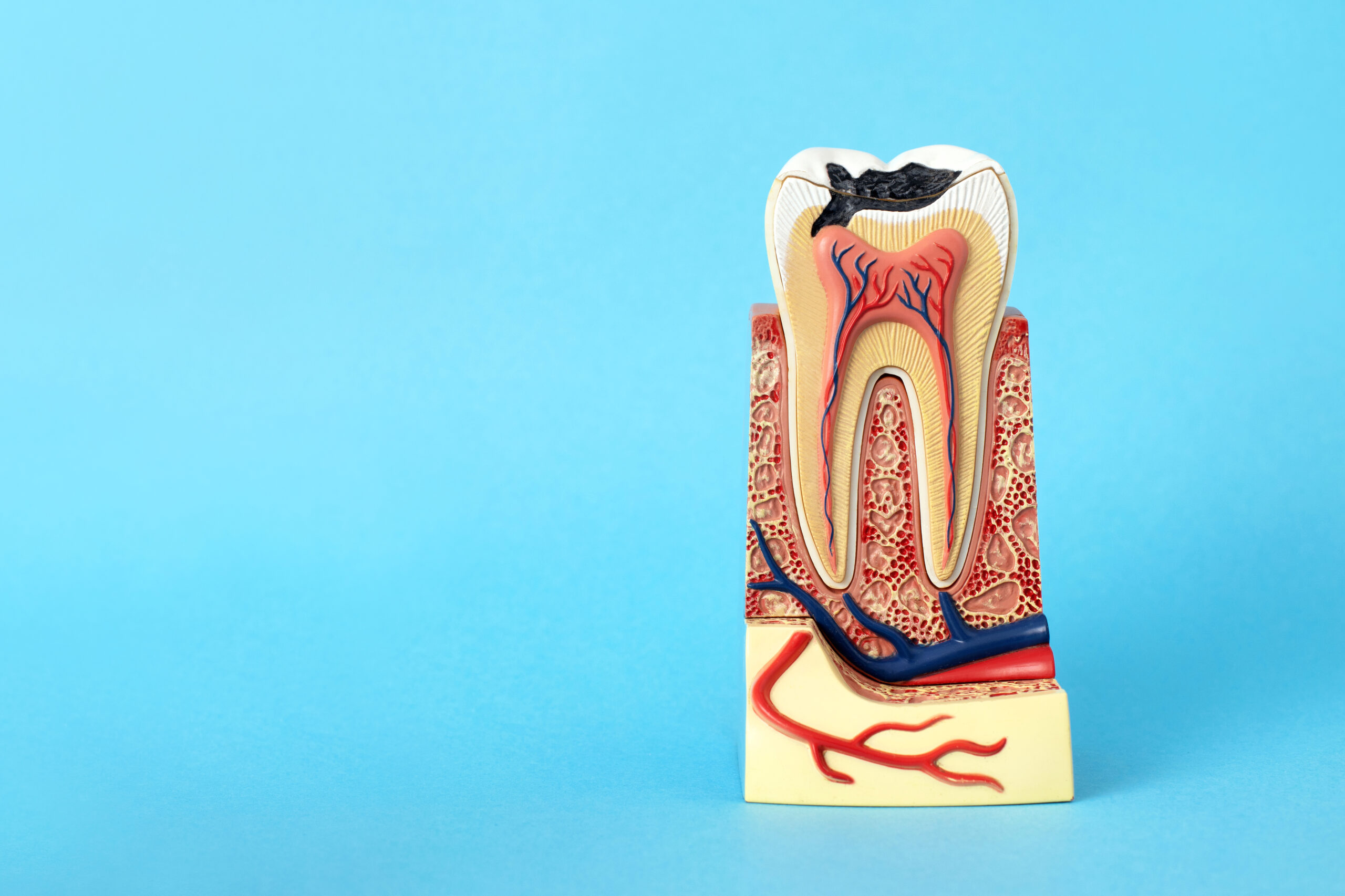 How to Start a Dental Practice