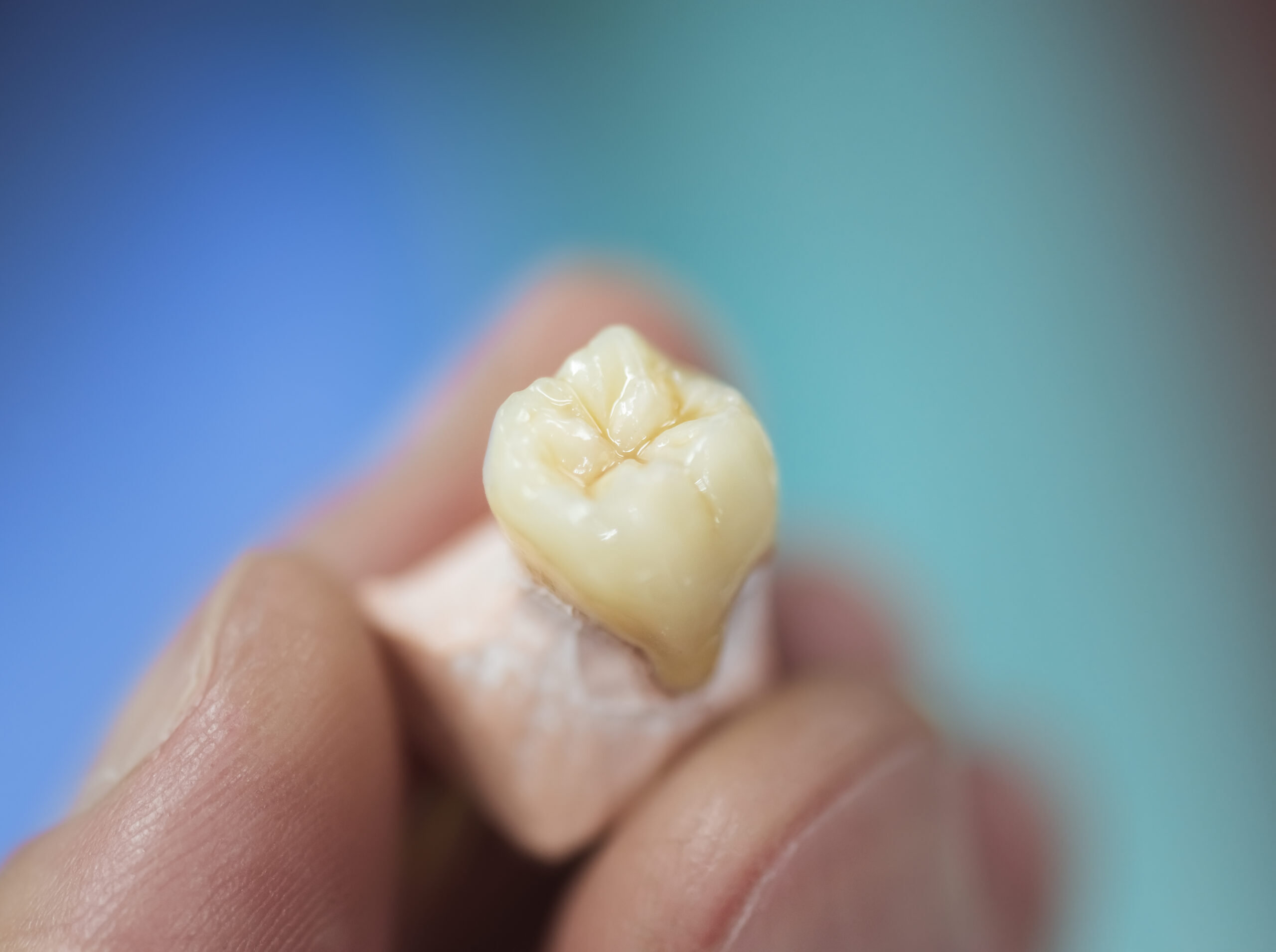 cheap dentures without insurance