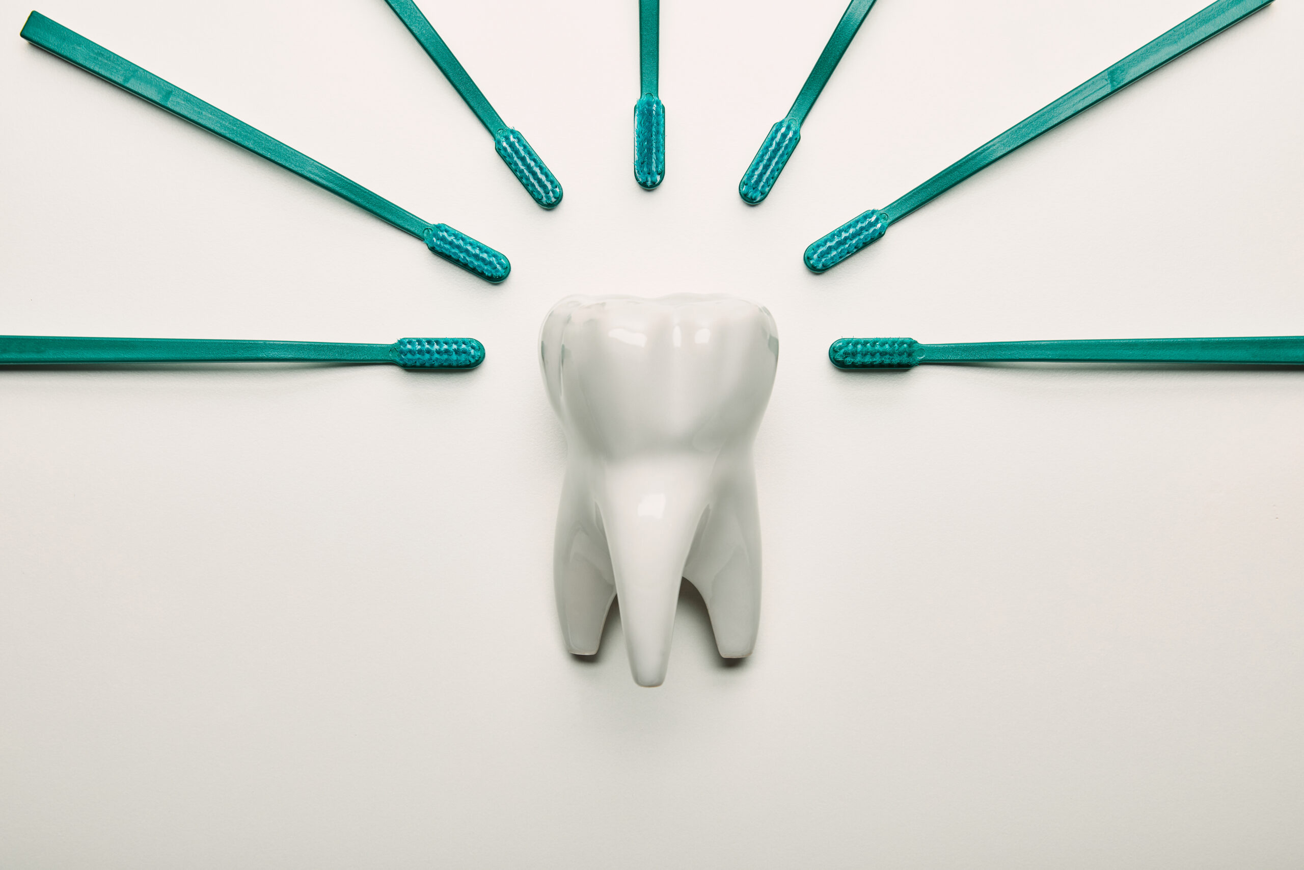 best dental discount plan